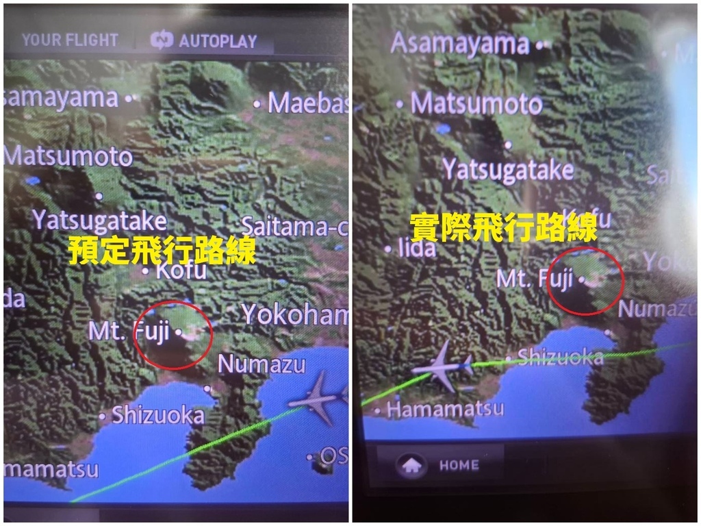 ANA (7).jpg ANA (7).jpg