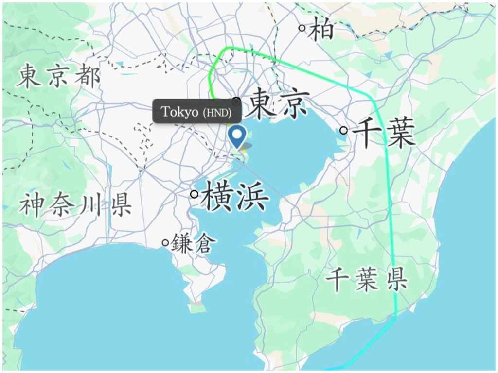 ANA (8).jpg ANA (8).jpg