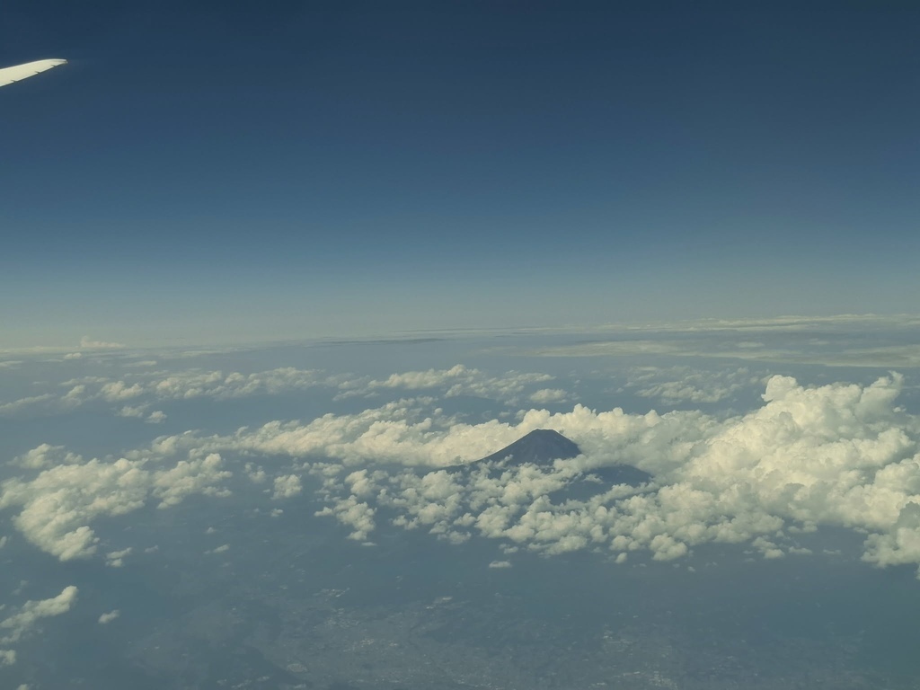 ANA (9).jpg ANA (9).jpg