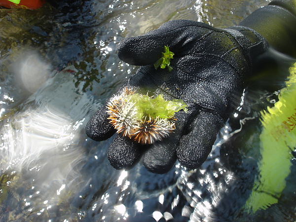 花蓮浮潛20100803永豪旅遊-71.JPG