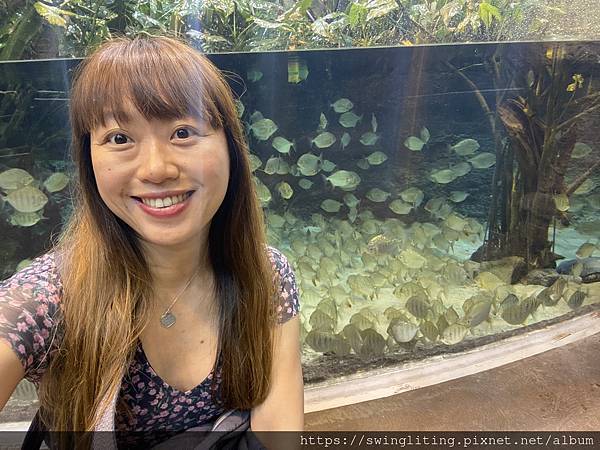 「我們加Instagram好嗎？」 從通訊軟體看加拿大跨文化