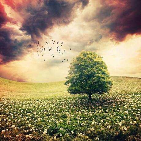 1464692614.jpg 1464692614.jpg