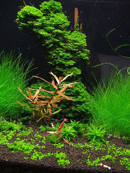 DSCF3759.JPG