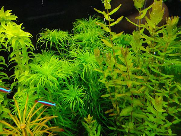 DSCF3508.JPG