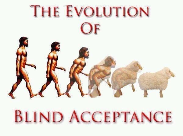 evolution of blind acceptance.jpg