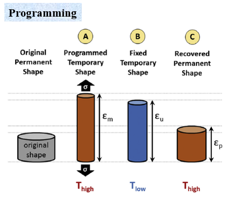 programming.png