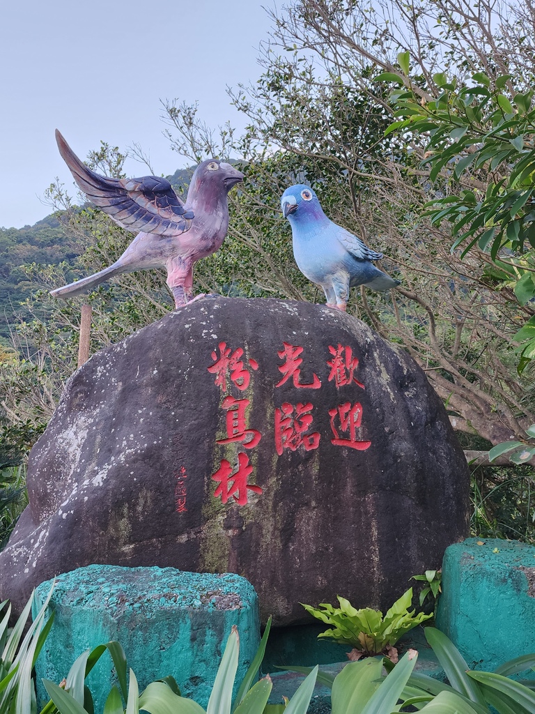 迷人的花東山海線 | 享受山海氣息療癒的台東藍