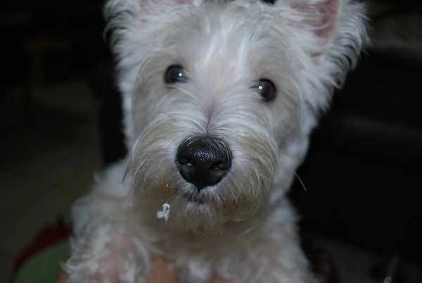 DSC_0042.JPG DSC_0042.JPG