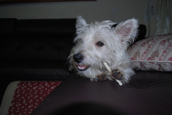 DSC_0261.JPG DSC_0261.JPG