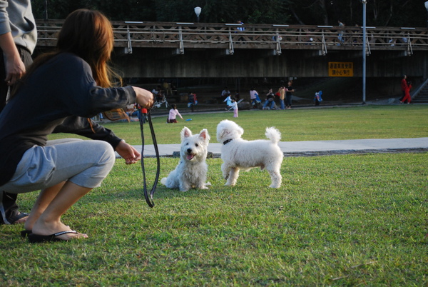 DSC_0356.JPG DSC_0356.JPG