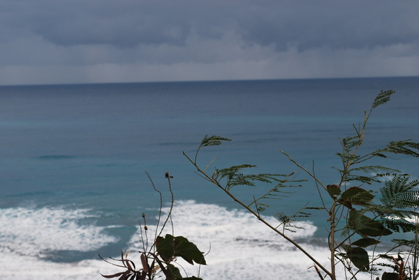 DSC_1114.JPG DSC_1114.JPG