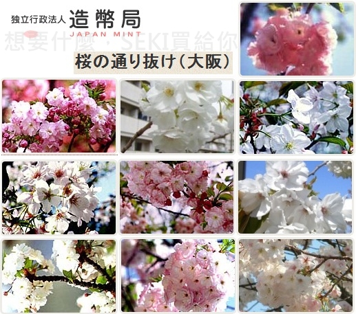 造幣局賞櫻 造幣局賞櫻