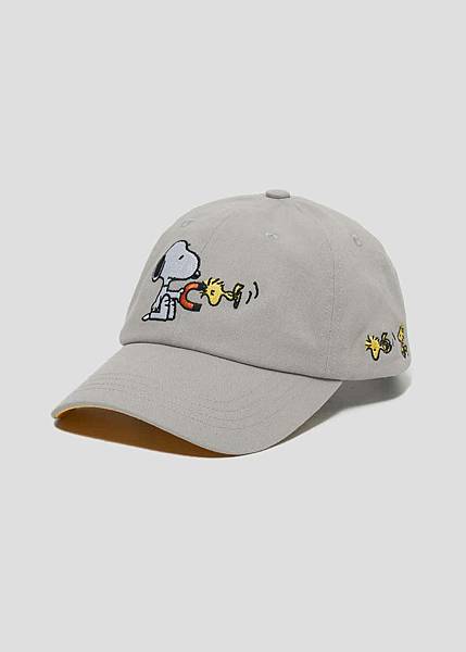 【想要什麼，seki買給你】史努比迷必買必買，SNOOPY 