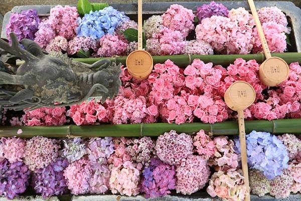 【想要什麼，seki買給你】京都 柳谷観音 楊谷寺 超美的 