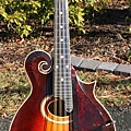 Mandolin