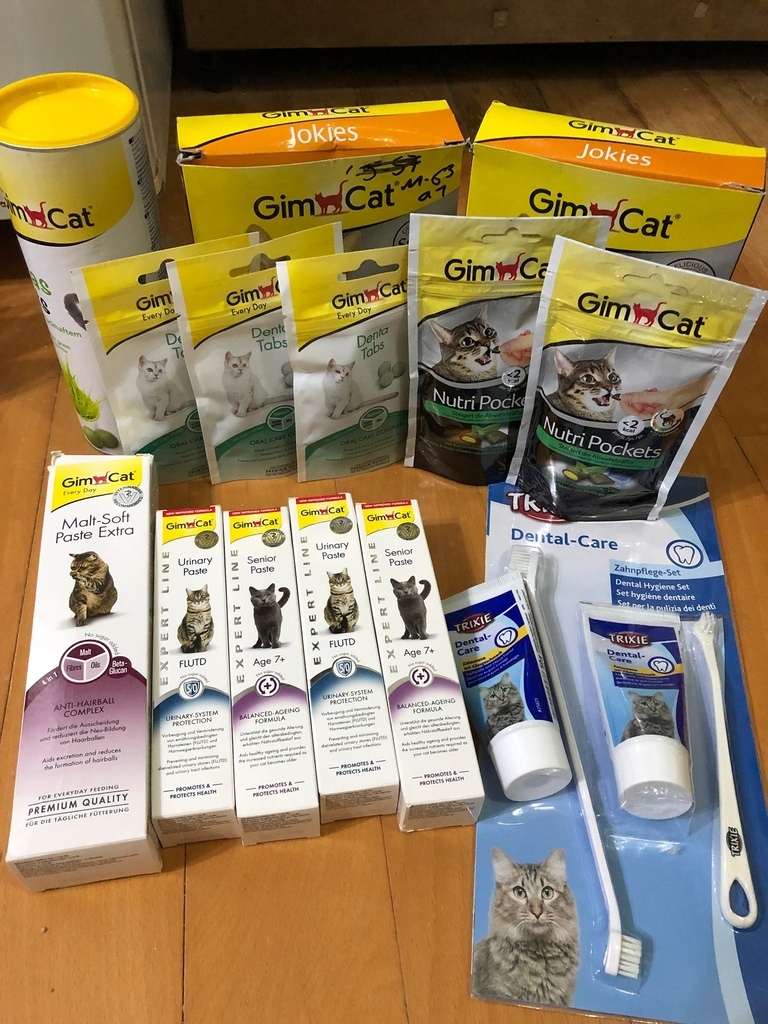 上圖:之前德國出差時,扛回了一堆竣寶的產品,只為了討貓主子開心
