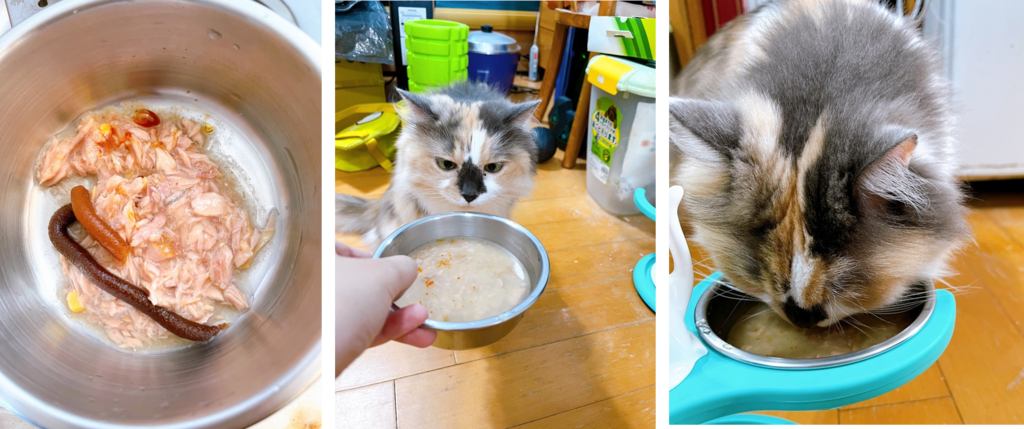 上圖:習慣將化毛膏和超級營養膏直接加入日常的副食罐頭中,再加上一些水,貓主子一樣吃的津津有味