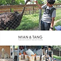 克林姆莊園-03.jpg