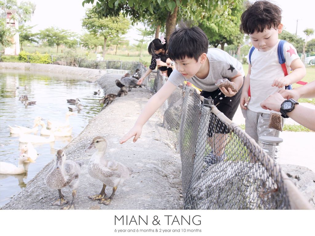 鴨寮故事館-01.jpg 鴨寮故事館-01.jpg