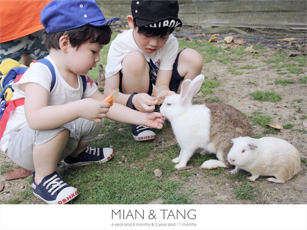 石岡兔樂園-01