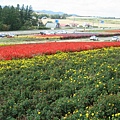 北海道080924_1214_R01.jpg