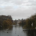 St. James Park