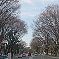 DSC_3010.JPG