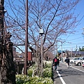 DSC_3153.JPG