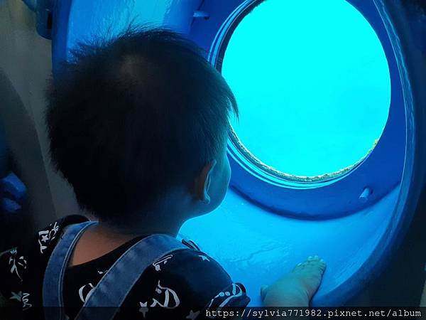 20191022_104128.jpg 20191022_104128.jpg