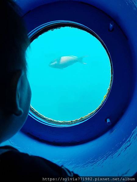 20191022_104216.jpg 20191022_104216.jpg