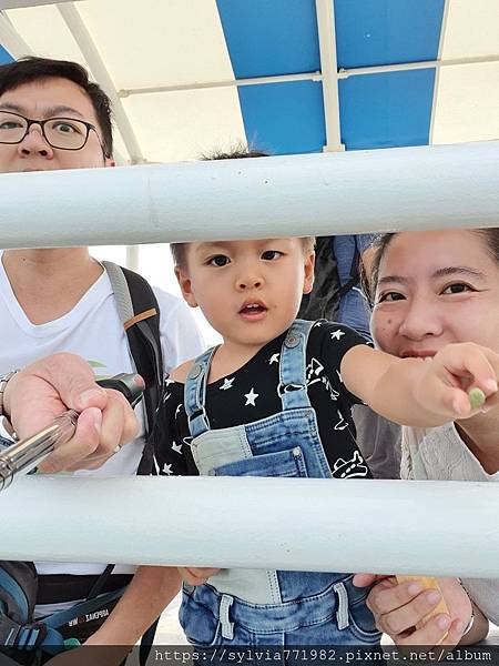 20191022_105257.jpg 20191022_105257.jpg