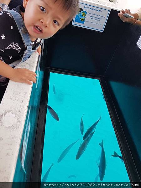 20191022_111719.jpg 20191022_111719.jpg