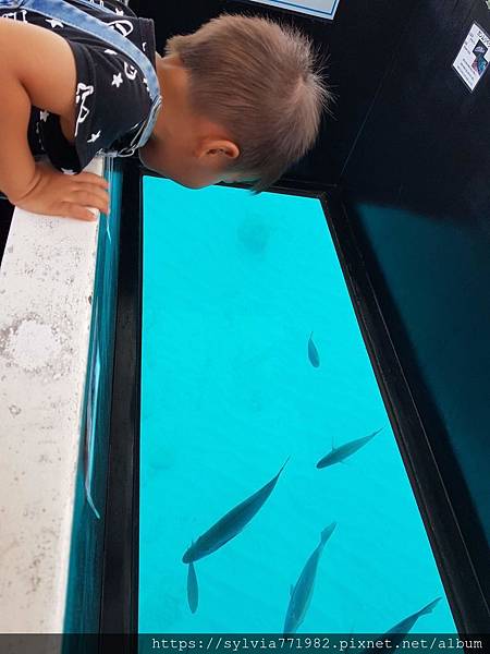 20191022_111724.jpg 20191022_111724.jpg