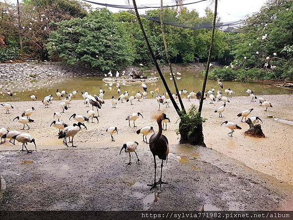 20191022_144156.jpg 20191022_144156.jpg