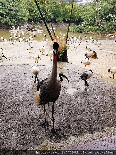 20191022_144224.jpg 20191022_144224.jpg