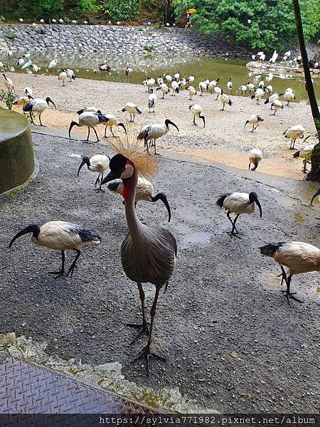 20191022_144228.jpg 20191022_144228.jpg