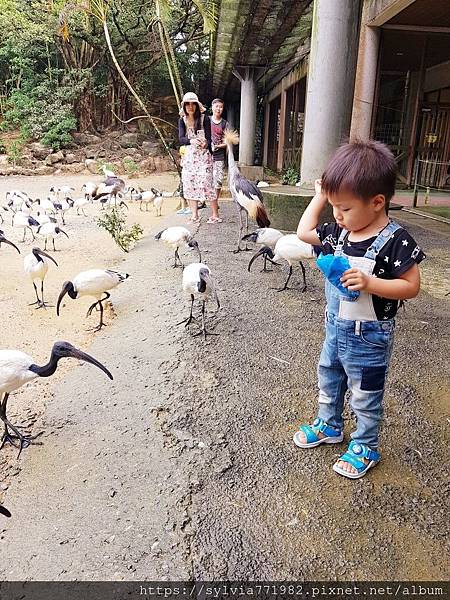 20191022_144800.jpg 20191022_144800.jpg