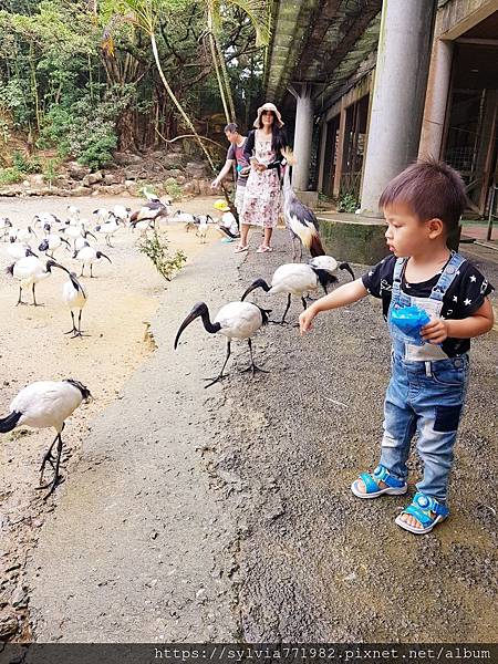 20191022_144802.jpg 20191022_144802.jpg