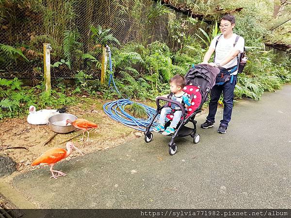 20191022_145642.jpg 20191022_145642.jpg