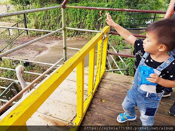 20191022_150252.jpg 20191022_150252.jpg