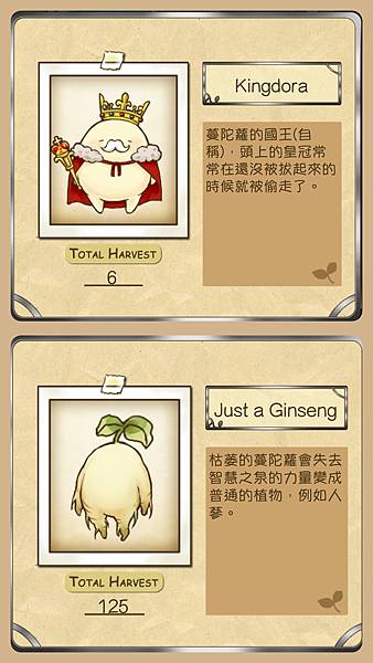 MANDORA (15)