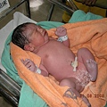 baby 005(馬賽克).jpg