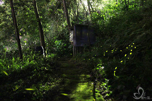 虎山親山步道 虎山親山步道