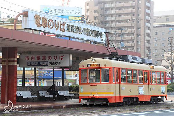 四國交通券-松山