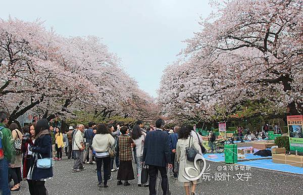 東京多元玩法-上野公園櫻花季.jpg