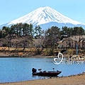 東京多元玩法-河口湖看富士山.jpg