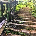 夏日避暑瀑布集錦-青山瀑布步道旁的水流湍急.jpg