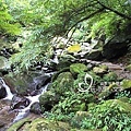 夏日避暑瀑布集錦-青山瀑布步道旁的清澈水流.jpg