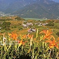 花蓮一日上山又下海-六十石山視野遼闊如瑞士.jpg