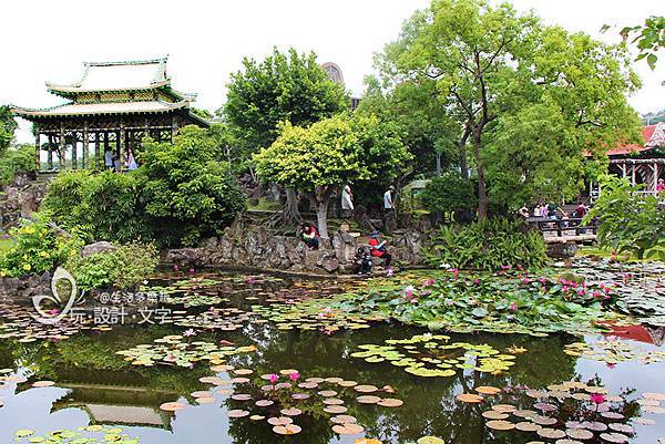 超好拍的雙溪公園-建構成中式庭園充斥著蓮花